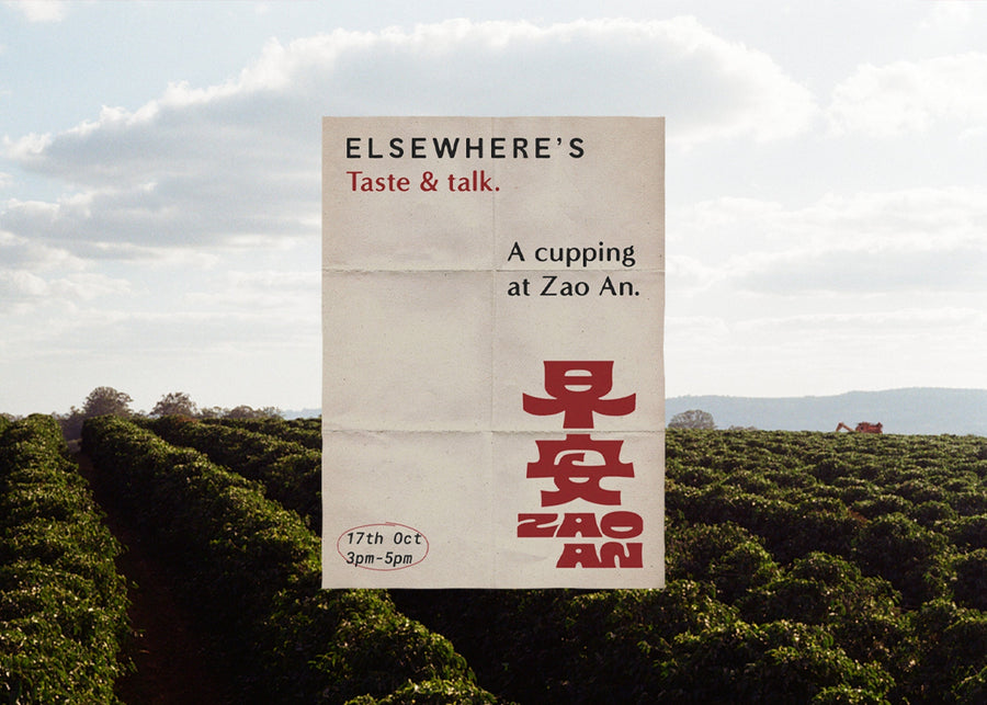 Coffee cupping at Zao An - Fri 17th Oct