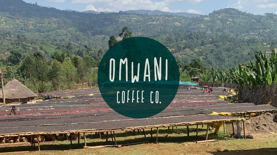 Omwani's Ethiopian Coffee Cupping - 24th April