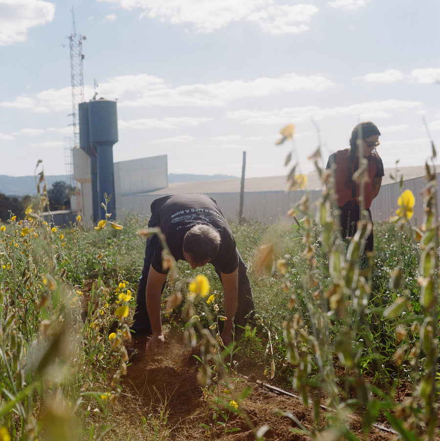 Mió - Minas Gerais, Brazil