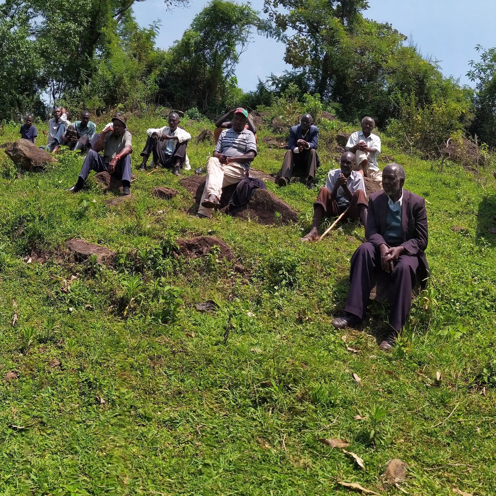 Lot 20 Coffee, Kericho, Kenya