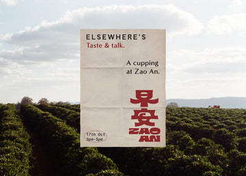 Coffee cupping at Zao An - Fri 17th Oct