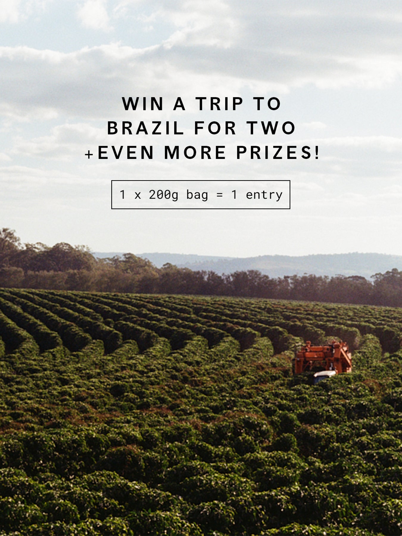 Daydreamer - September prize draw