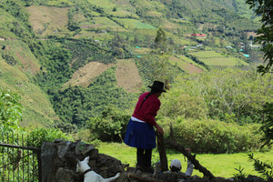 Ben Lippett x Elsewhere Peru