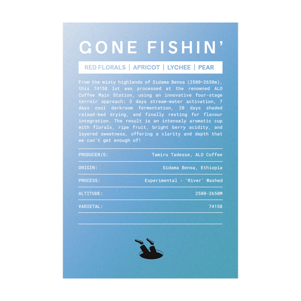 Gone Fishin' - Killbean x ELSEWHERE